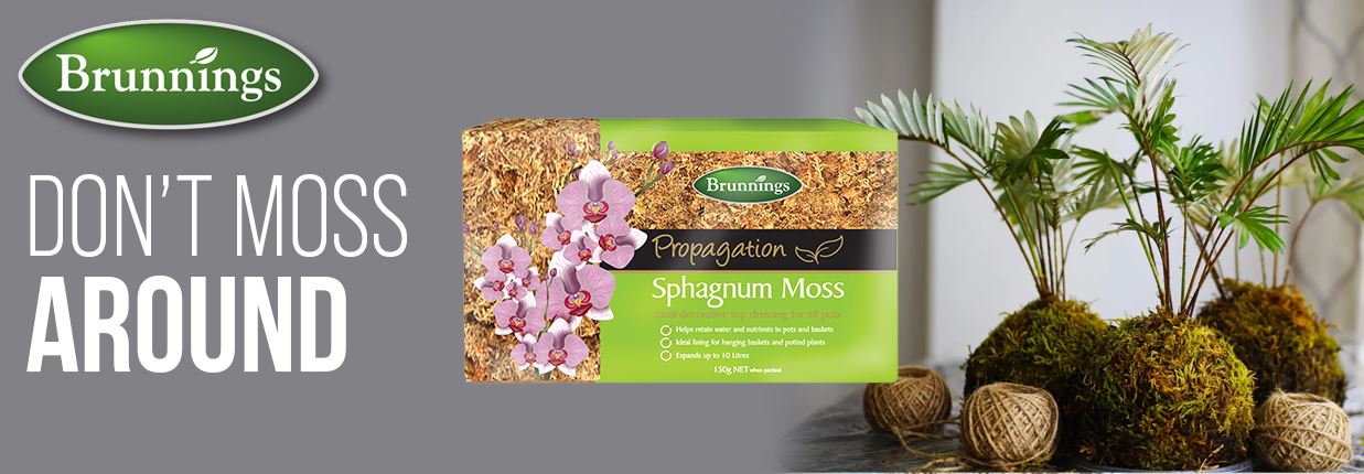 Sphagnum Moss 150g - Brunnings