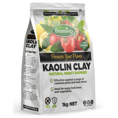 Picture of 1KG KAOLIN CLAY